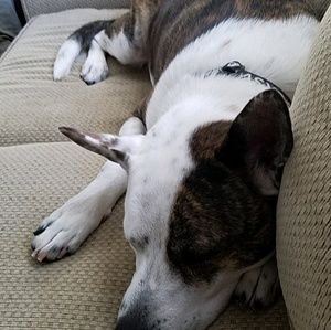 Meet your Posher, Kourtney